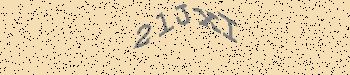 An error has occurred while getting captcha image