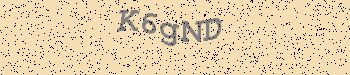An error has occurred while getting captcha image