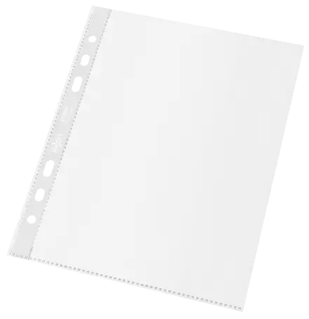 Rexel 100% Recycled A5 Punched Pocket