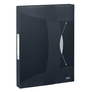 Rexel Choices Polypropylene Translucent PP Box File