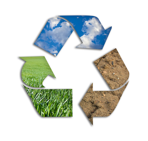 Environmental Responsibility